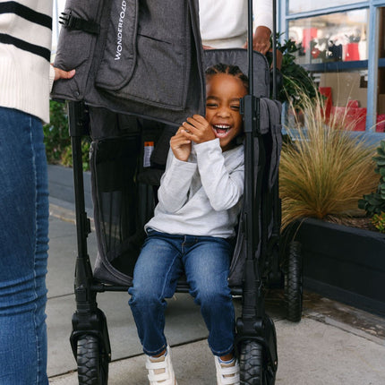 WonderFold W2 Luxe Pro Stroller Wagon (2 Seater)
