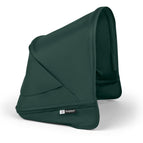 Fern Green