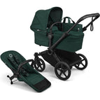 Black/Fern Green-Fern Green
