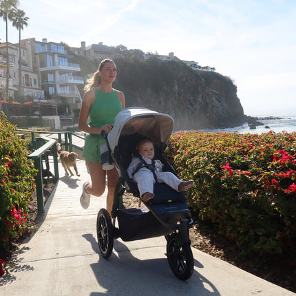 UPPAbaby Ridge V2 + Mesa V3 Travel System component 2