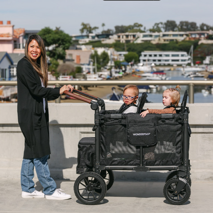 WonderFold W2 Luxe Pro Stroller Wagon (2 Seater)