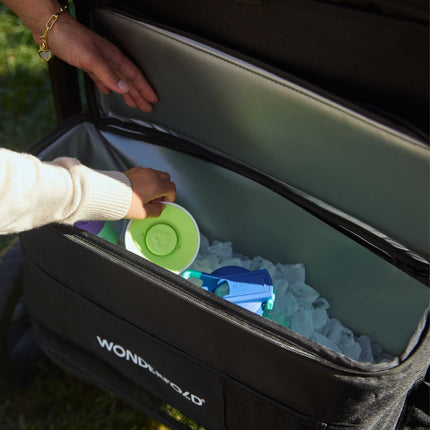 WonderFold W2 Luxe Pro Stroller Wagon (2 Seater)